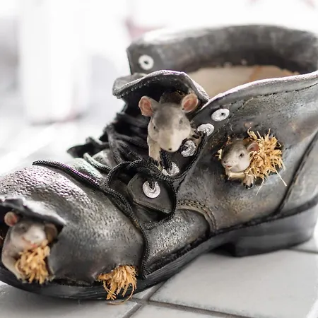 Casa vacanze Schwarzenegg By Interhome Wagrain