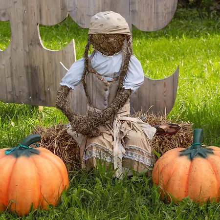 Schwarzenegg By Interhome